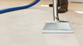 Carpet cleaning wand head gliding over a light carpet during hot-water extraction, Dayton, OH.